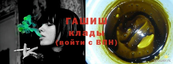 ECSTASY Елизово