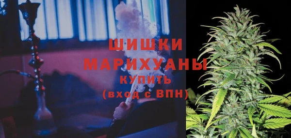 ECSTASY Елизово