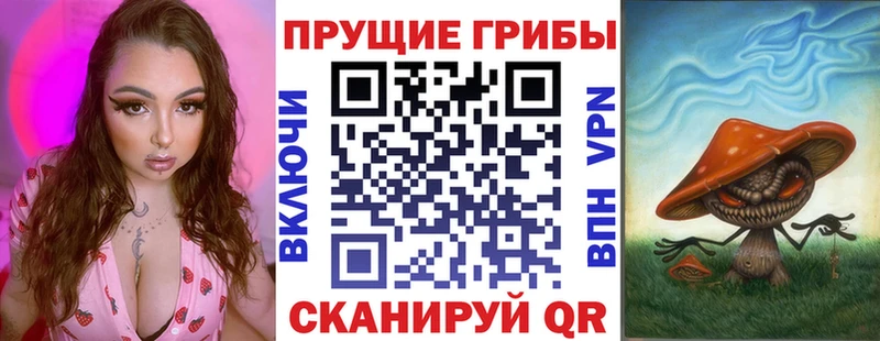 Купить  Печора  Псилоцибиновые грибы мицелий 